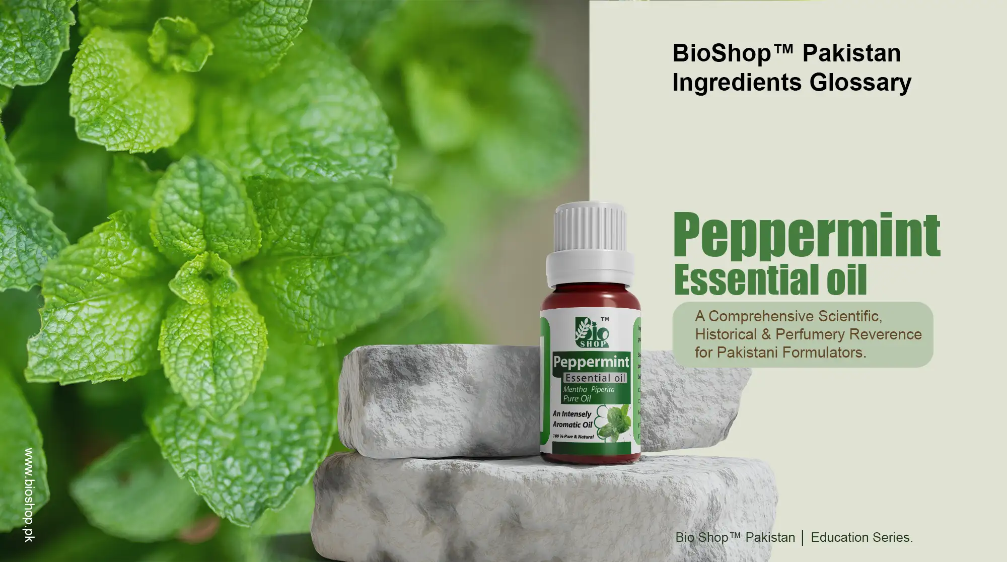 Peppermint Essential Oil Guide - Chemistry & Uses – BioShop™ Pakistan