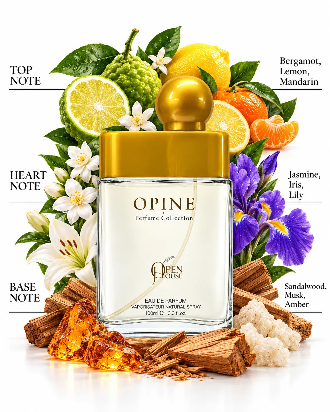 OPINE 100ml perfume bottle with premium black and gold Open House presentation box