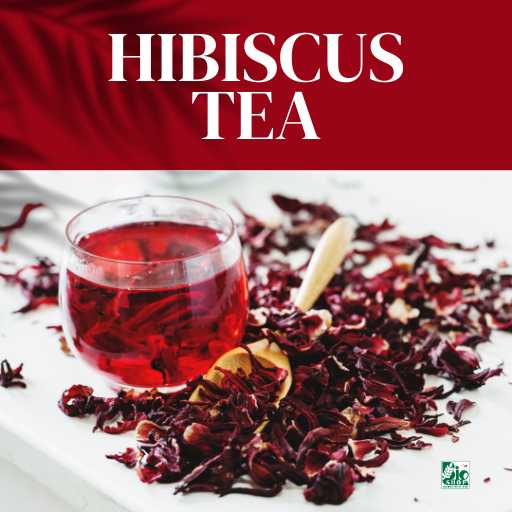 Hibiscus Tea Pouch - BioShop™ Pakistan
