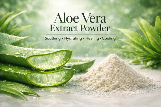 Aloe Vera Extract Powder