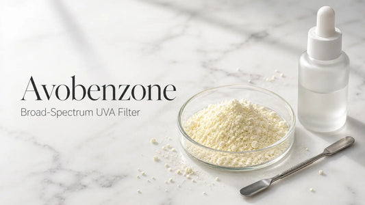 Avobenzone UVA filter powder in a glass petri dish on white marble — Bio Shop™ Ingredient Glossary hero banner.