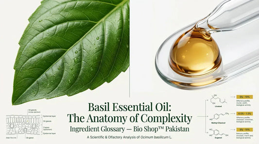 Basil Essential Oil (Ocimum basilicum L.)