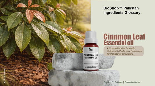 Cinnamon leaf Essential Oil — Complete Ingredient Guide