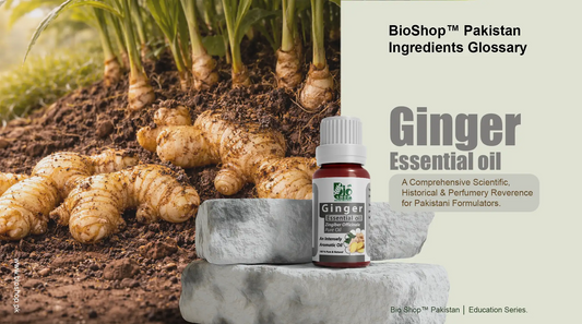 Gin­ger Essential Oil — Complete Ingredient Guide