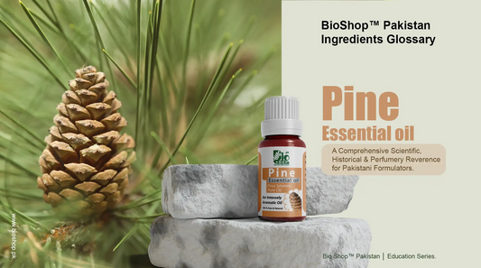 Pine Essential Oil — Complete Ingredient Guide