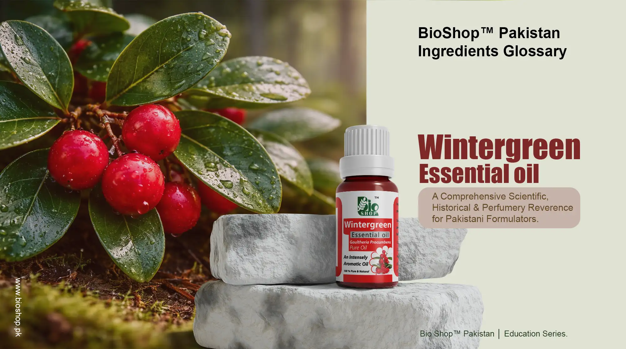 Win­ter Green Essential Oil Guide | Chemistry & Uses – BioShop™ Pakistan