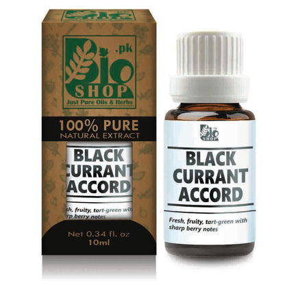 Black Currant Accord