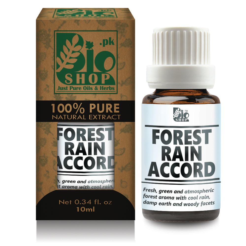Forest Rain Accord