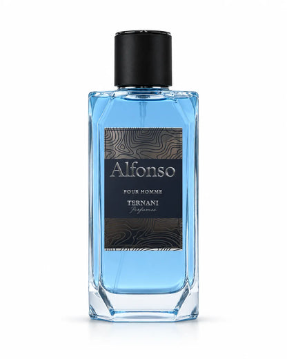 Hemani Alfonso Pour Homme 100ml blue perfume bottle for men