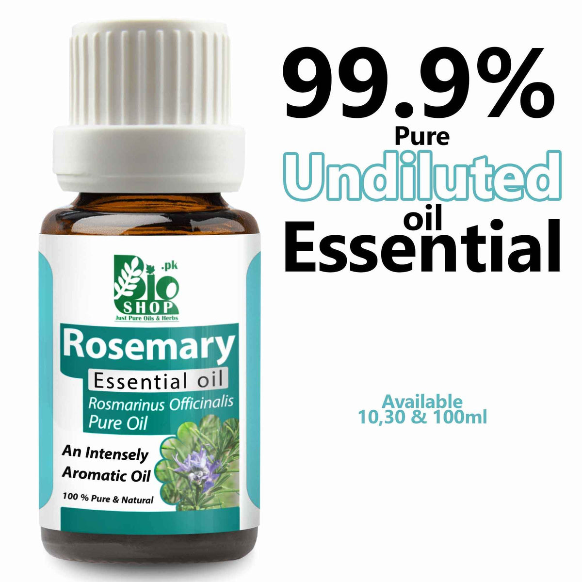 Rosemary Essential Oil – Hair & Focus | Bio Shop™ Pakistan – BioShop ...