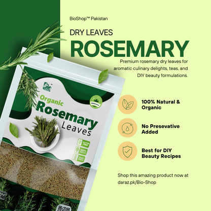 Rosemary Dry Leaves