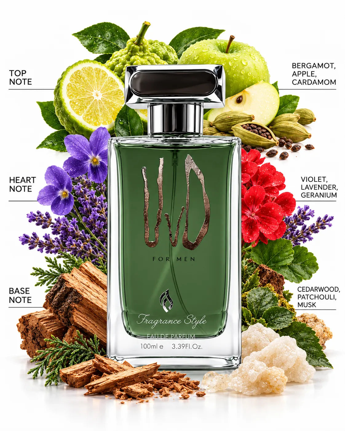 Fragrance Style WD For Men perfume 100ml with metallic-style logo and rectangular cap