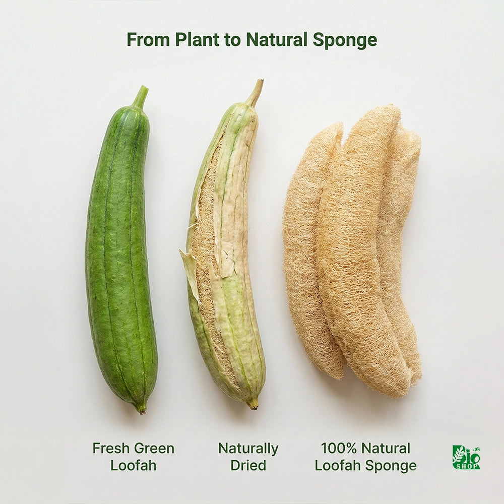 Natural Loofah Sponge – For Soap Making & DIY Skincare
