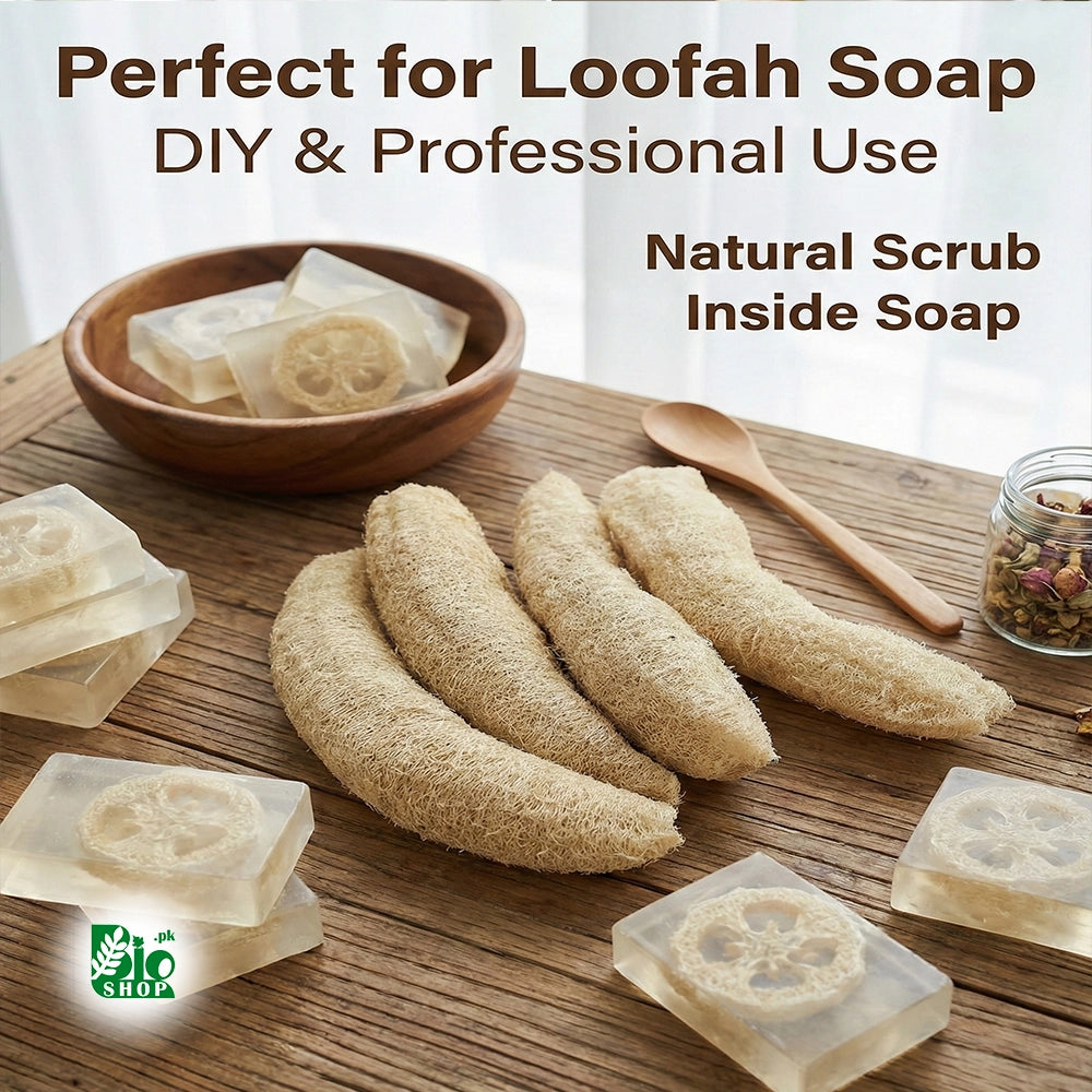 Natural Loofah Sponge – For Soap Making & DIY Skincare
