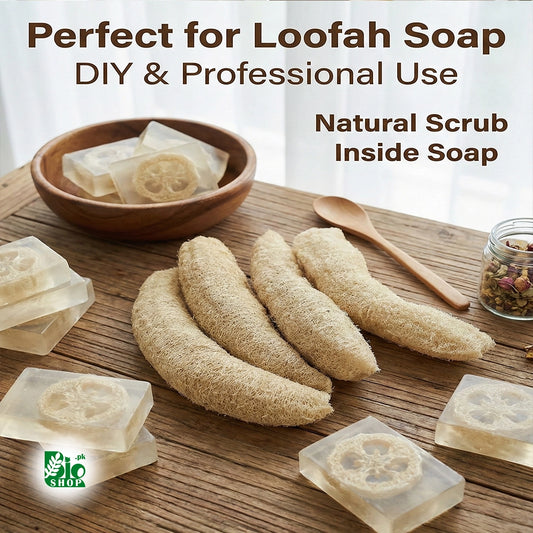 Natural Loofah Sponge – For Soap Making & DIY Skincare