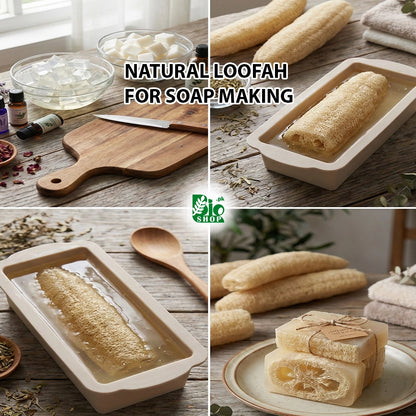 Natural Loofah Sponge – For Soap Making & DIY Skincare