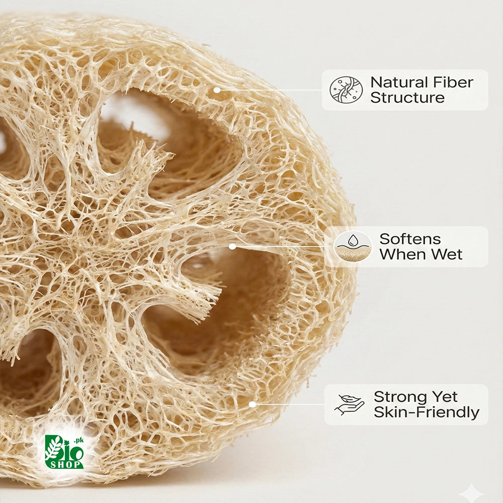 Natural Loofah Sponge – For Soap Making & DIY Skincare