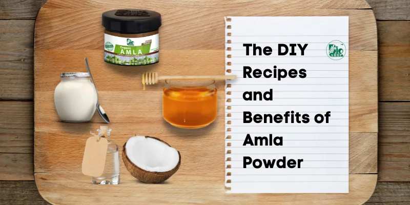 Discover the Beauty Benefits of Amla Powder & How We Can Use It